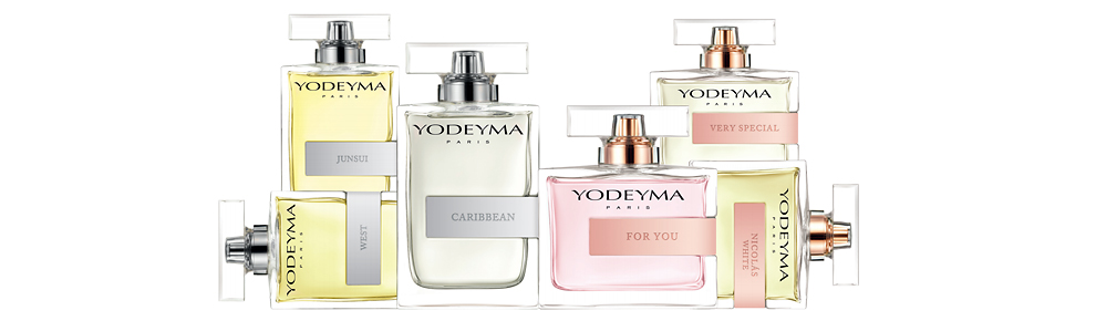 novedades-2017-990x290